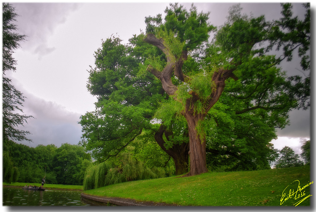 HDR Formats Explained: HDR10, HDR10+, Dolby Vision, HLG (2026)